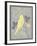 Grey & Yellow Bird III-Gwendolyn Babbitt-Framed Art Print