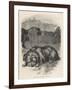 Greyfriars Bobby Lying Near the Grave of His Master, John Gray-null-Framed Art Print