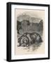 Greyfriars Bobby Lying Near the Grave of His Master, John Gray-null-Framed Art Print