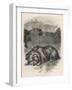 Greyfriars Bobby Lying Near the Grave of His Master, John Gray-null-Framed Art Print