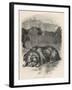 Greyfriars Bobby Lying Near the Grave of His Master, John Gray-null-Framed Art Print