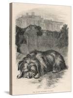 Greyfriars Bobby Lying Near the Grave of His Master, John Gray-null-Stretched Canvas
