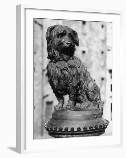 Greyfriars Bobby-null-Framed Photographic Print