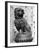 Greyfriars Bobby-null-Framed Photographic Print