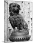 Greyfriars Bobby-null-Mounted Photographic Print