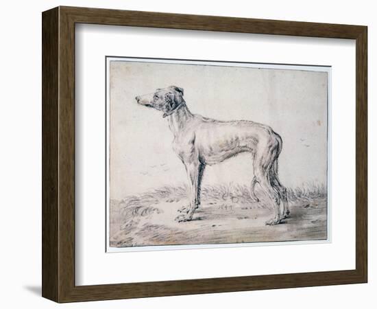 Greyhound, 1644-Cornelis Saftleven-Framed Giclee Print