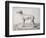 Greyhound, 1644-Cornelis Saftleven-Framed Giclee Print