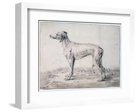 Greyhound, 1644-Cornelis Saftleven-Framed Giclee Print