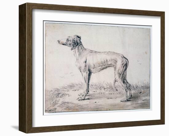 Greyhound, 1644-Cornelis Saftleven-Framed Giclee Print