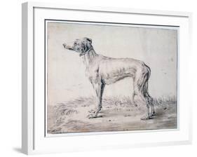 Greyhound, 1644-Cornelis Saftleven-Framed Giclee Print