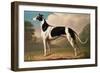 Greyhound, 1800-Benjamin Killingbeck-Framed Giclee Print