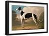 Greyhound, 1800-Benjamin Killingbeck-Framed Giclee Print