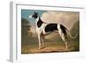 Greyhound, 1800-Benjamin Killingbeck-Framed Giclee Print