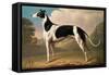 Greyhound, 1800-Benjamin Killingbeck-Framed Stretched Canvas