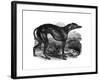 Greyhound, 1848-null-Framed Giclee Print