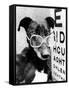 Greyhound Bitch Wearing Glasses February 1987-null-Framed Stretched Canvas