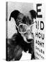 Greyhound Bitch Wearing Glasses February 1987-null-Stretched Canvas