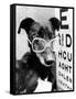 Greyhound Bitch Wearing Glasses February 1987-null-Framed Stretched Canvas