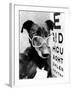 Greyhound Bitch Wearing Glasses February 1987-null-Framed Photo