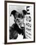 Greyhound Bitch Wearing Glasses February 1987-null-Framed Photo