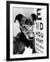 Greyhound Bitch Wearing Glasses February 1987-null-Framed Photo