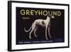 Greyhound Brand - San Dimas, California - Citrus Crate Label-Lantern Press-Framed Art Print