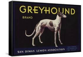 Greyhound Brand - San Dimas, California - Citrus Crate Label-Lantern Press-Framed Stretched Canvas