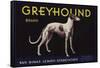 Greyhound Brand - San Dimas, California - Citrus Crate Label-Lantern Press-Framed Stretched Canvas