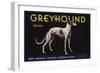 Greyhound Brand - San Dimas, California - Citrus Crate Label-Lantern Press-Framed Art Print