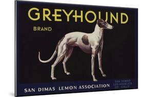 Greyhound Brand - San Dimas, California - Citrus Crate Label-Lantern Press-Mounted Art Print