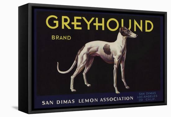 Greyhound Brand - San Dimas, California - Citrus Crate Label-Lantern Press-Framed Stretched Canvas