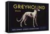 Greyhound Brand - San Dimas, California - Citrus Crate Label-Lantern Press-Framed Stretched Canvas