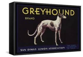 Greyhound Brand - San Dimas, California - Citrus Crate Label-Lantern Press-Framed Stretched Canvas