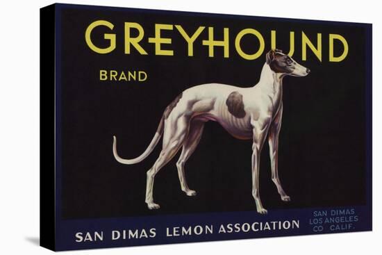 Greyhound Brand - San Dimas, California - Citrus Crate Label-Lantern Press-Stretched Canvas