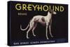 Greyhound Brand - San Dimas, California - Citrus Crate Label-Lantern Press-Stretched Canvas