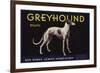 Greyhound Brand - San Dimas, California - Citrus Crate Label-Lantern Press-Framed Art Print