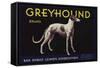 Greyhound Brand - San Dimas, California - Citrus Crate Label-Lantern Press-Framed Stretched Canvas