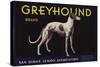 Greyhound Brand - San Dimas, California - Citrus Crate Label-Lantern Press-Stretched Canvas