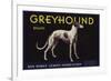Greyhound Brand - San Dimas, California - Citrus Crate Label-Lantern Press-Framed Premium Giclee Print