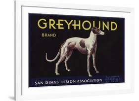 Greyhound Brand - San Dimas, California - Citrus Crate Label-Lantern Press-Framed Premium Giclee Print