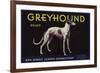 Greyhound Brand - San Dimas, California - Citrus Crate Label-Lantern Press-Framed Premium Giclee Print