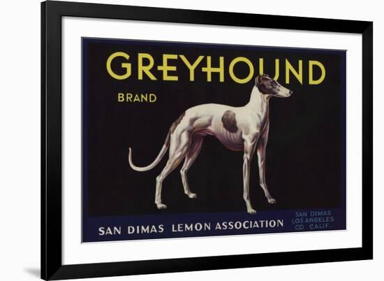 Greyhound Brand - San Dimas, California - Citrus Crate Label-Lantern Press-Framed Premium Giclee Print