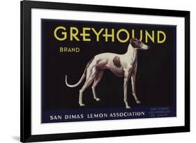 Greyhound Brand - San Dimas, California - Citrus Crate Label-Lantern Press-Framed Premium Giclee Print