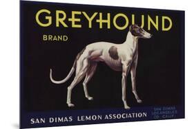 Greyhound Brand - San Dimas, California - Citrus Crate Label-Lantern Press-Mounted Premium Giclee Print