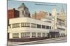 Greyhound Bus Station, Cincinnati, Ohio-null-Mounted Art Print