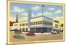 Greyhound Bus Terminal, Baltimore-null-Mounted Art Print