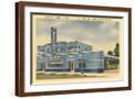 Brown Frame