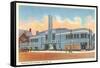 Greyhound Bus Terminal, Louisville-null-Framed Stretched Canvas