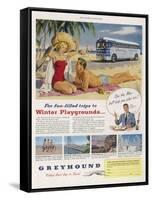 Greyhound Coaches Take You to Winter Sunshine at Scarcely More Cost Than Staying at Home-null-Framed Stretched Canvas