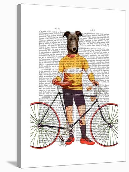 Greyhound Cyclist-Fab Funky-Stretched Canvas